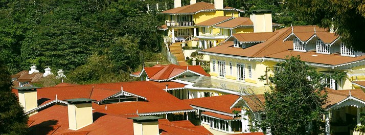 256/Mayfair - Darjeeling 13.jpg